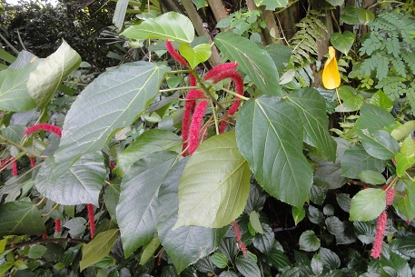 DSC08880 (12)