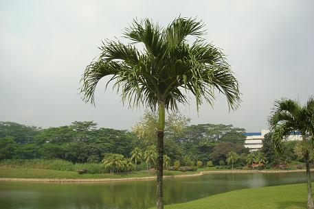DSC09405 (09)