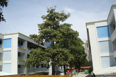 DSC06700 (10)