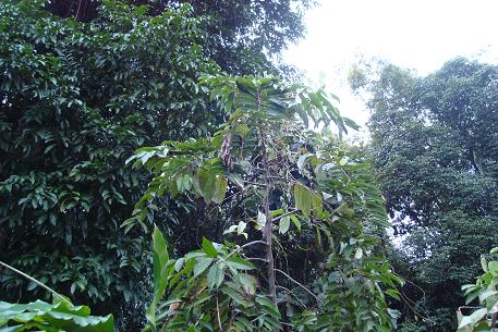 DSC05879 (09)