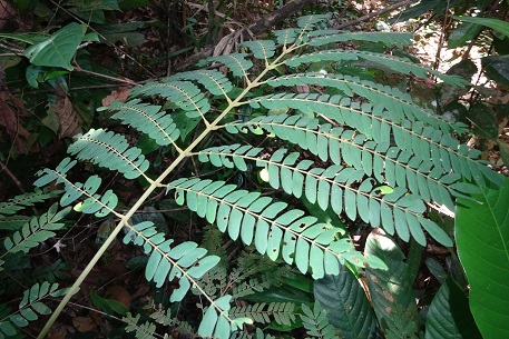 DSC02159 (15)