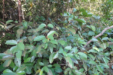 DSC00014 (12)