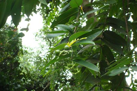 DSC02622 (09)