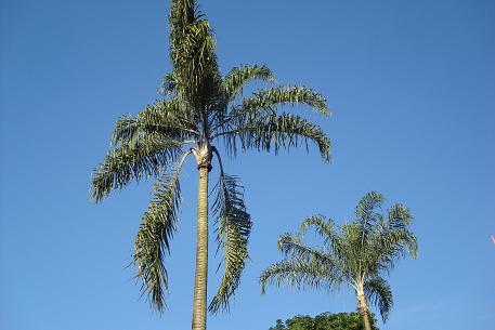 DSC03788 (09)