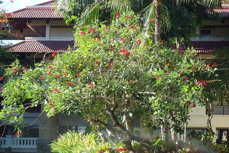 DSC01849 (08)