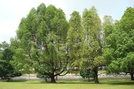 DSC00066 (09)