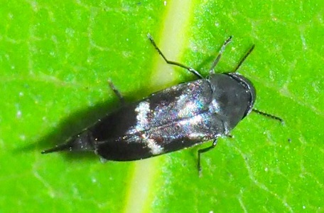 P5140101 (17)