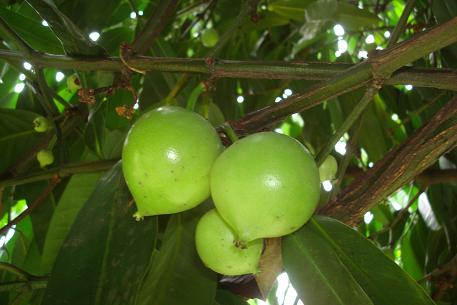 DSC00157 (09)