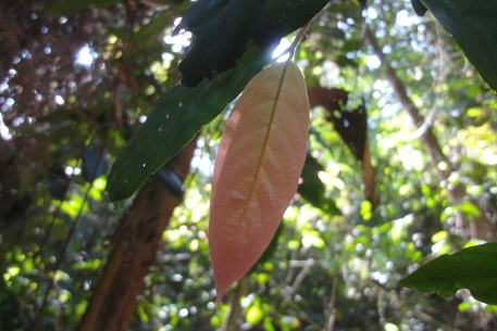 DSC00683 (12)