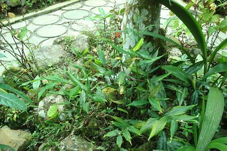 DSC05709 (09)
