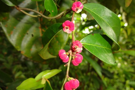 DSC05488 (12)