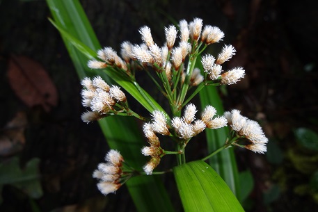 DSC00168 (14)
