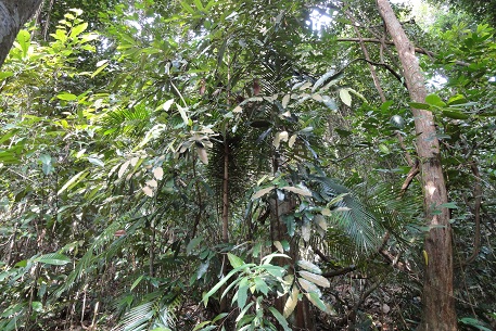 DSC04469 (11)