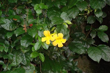DSC09509 (09)