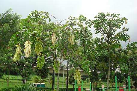 DSC03317 (09)