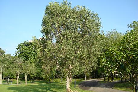 DSC05127 (08)