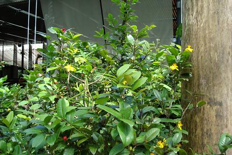 DSC02347 (08)
