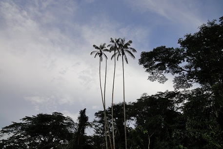 DSC02079 (10)