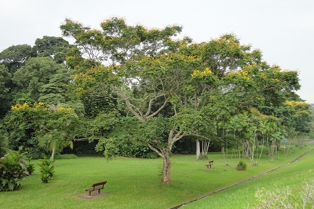 DSC00510 (10)