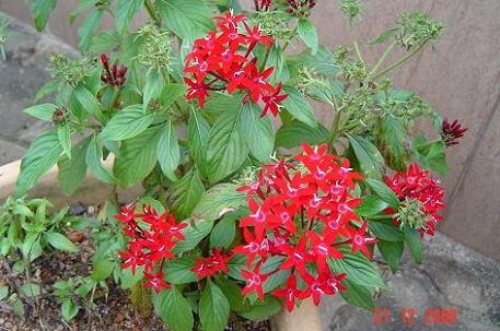 DSC05101 (06)