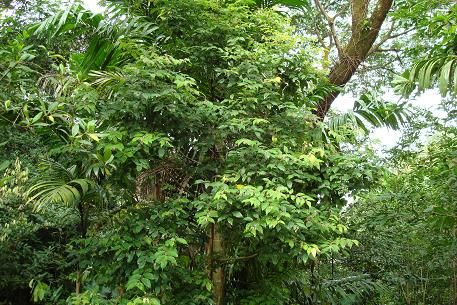 DSC01073 (08)