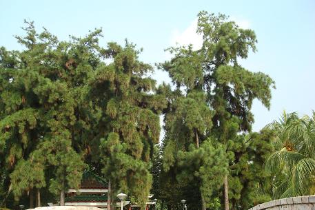 DSC09349 (09)