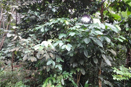 DSC03809 (11)