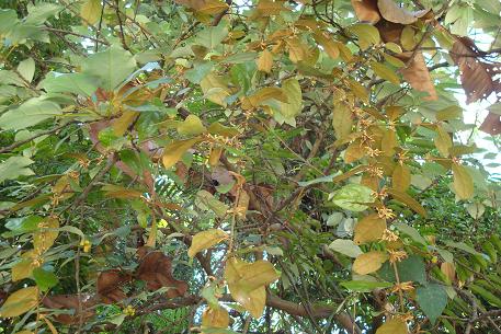DSC04102 (09)