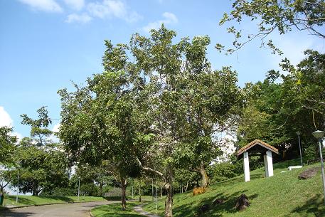 DSC00631 (08)