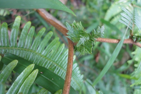 DSC05501 (11)