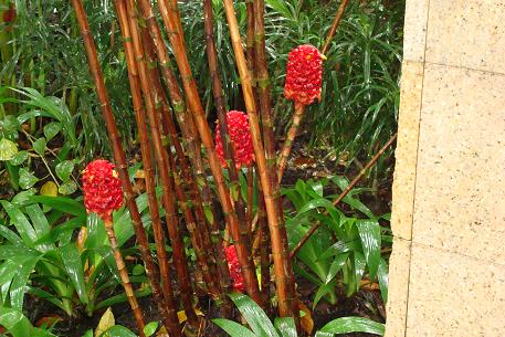 DSC00342 (07)