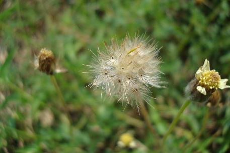 DSC02280 (09)