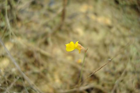 DSC00828 (08)