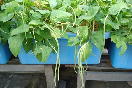 DSC00975 (09)