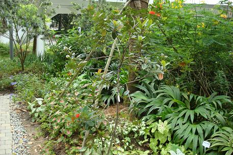 DSC02122 (09)