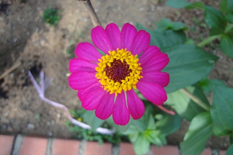 DSC00448 (11)